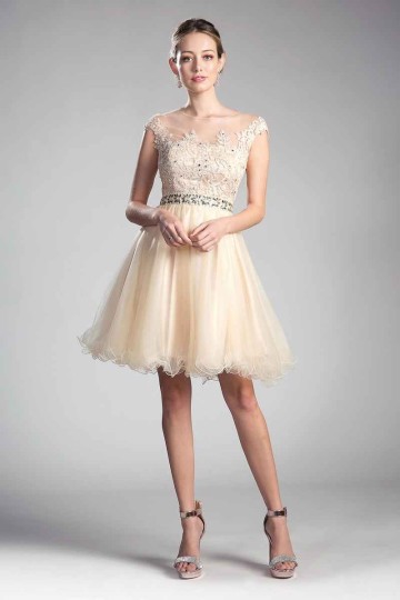 Beaded Lace Bodice Tulle Short Cap Sleeve Dress by Cinderella Divine -UJ0012