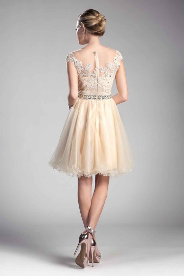 Beaded Lace Bodice Tulle Short Cap Sleeve Dress by Cinderella Divine -UJ0012